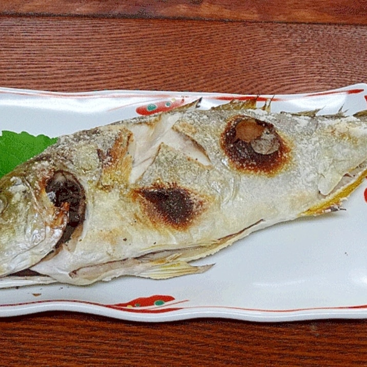 淡白な味わい♪　「カンパチの塩焼き」